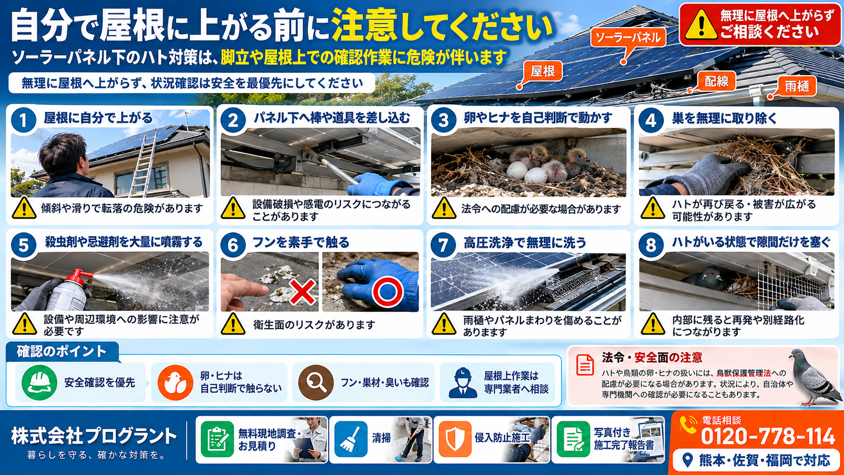 ソーラーパネル下のハト対策で避けたい8つの危険行動を写真付きで解説。屋根への転落、感電、巣や卵・ヒナの無断撤去、フンの衛生リスク、高圧洗浄、ハトが残った状態での封鎖などの注意点を紹介。