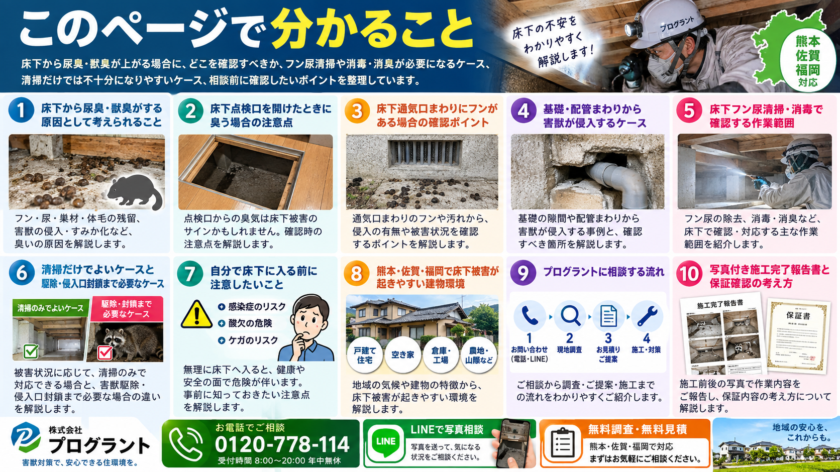 床下から尿臭・獣臭がする場合の原因、床下点検口・通気口・基礎・配管まわりの確認、フン尿清掃・消毒・消臭、侵入口封鎖、施工報告と保証を解説するインフォグラフィック