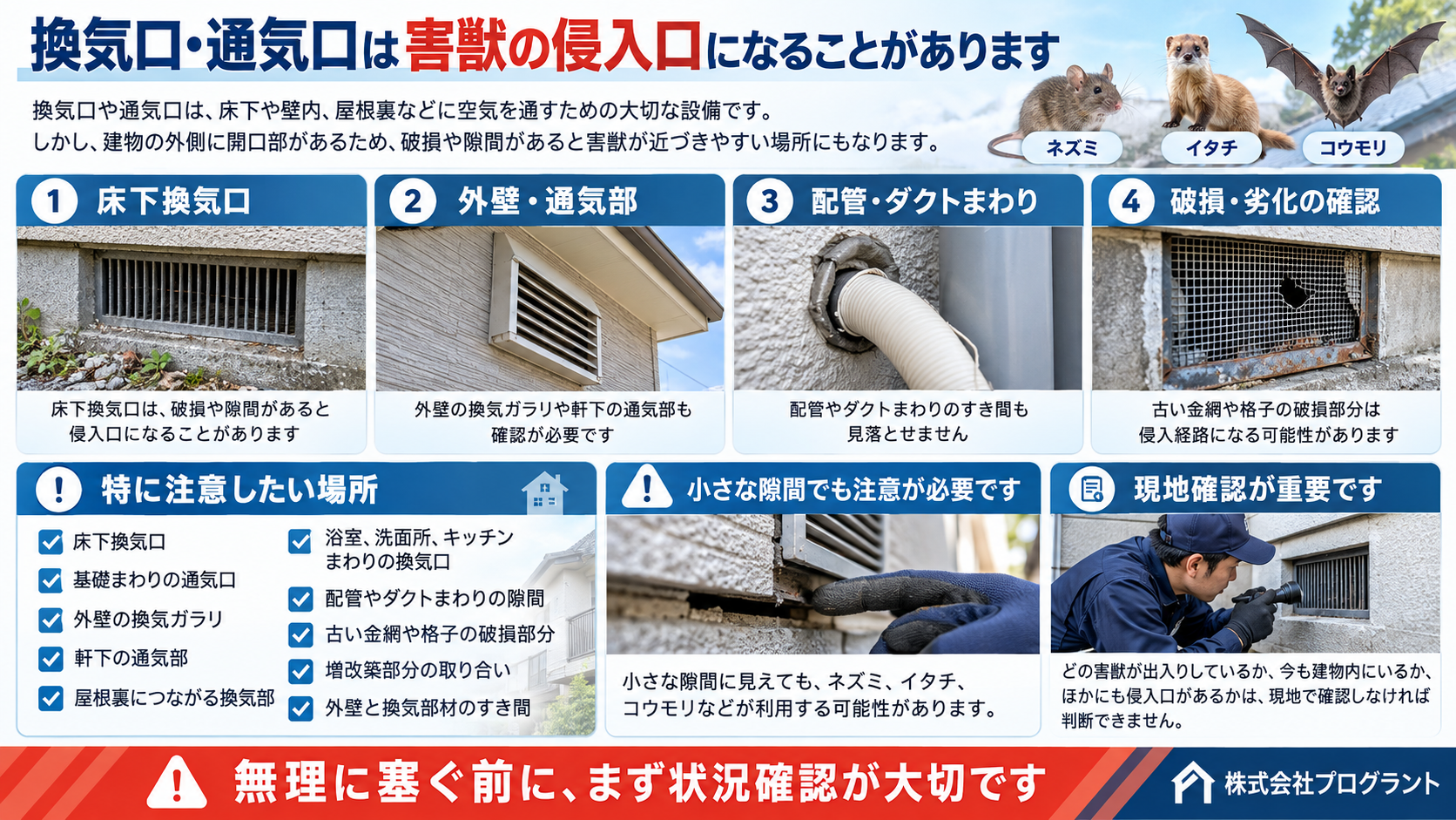換気口・通気口の害獣侵入対策インフォグラフィック｜床下換気口、外壁通気部、配管まわり、破損部の確認ポイントと現地調査の重要性を解説