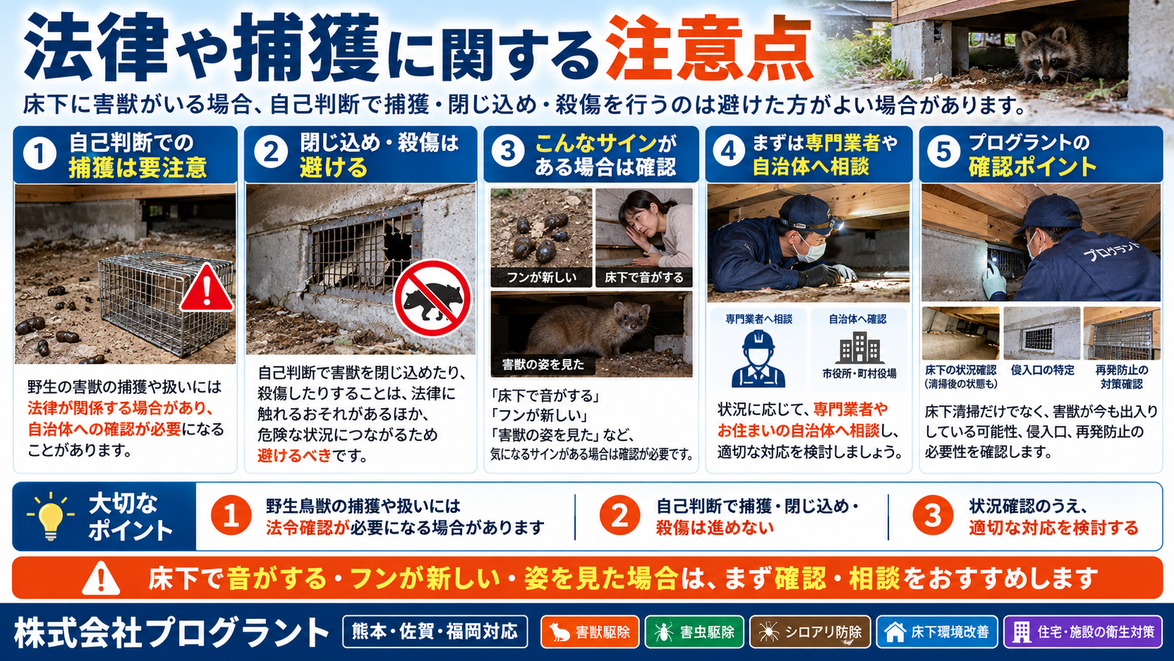 床下に害獣がいる場合の法律・捕獲上の注意点として、自己判断での捕獲・閉じ込め・殺傷を避け、専門業者や自治体への確認、侵入口調査と再発防止の必要性を写真付きで解説するインフォグラフィック
