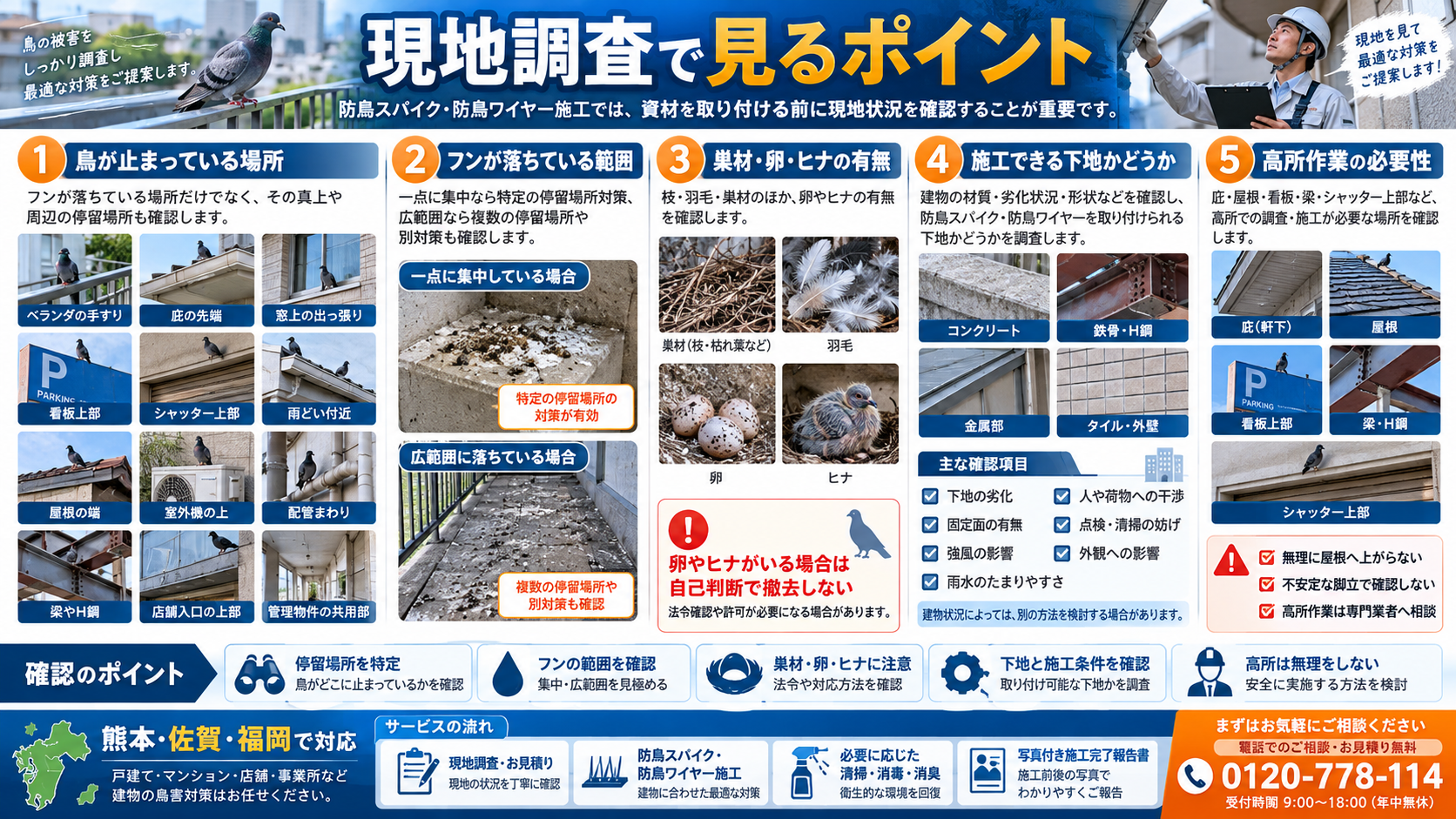 防鳥スパイク・防鳥ワイヤー施工の現地調査で確認する5つのポイントを写真付きで解説。ハトの停留場所、フンの範囲、巣材・卵・ヒナの有無、施工下地の状態、高所作業の安全確認を紹介。