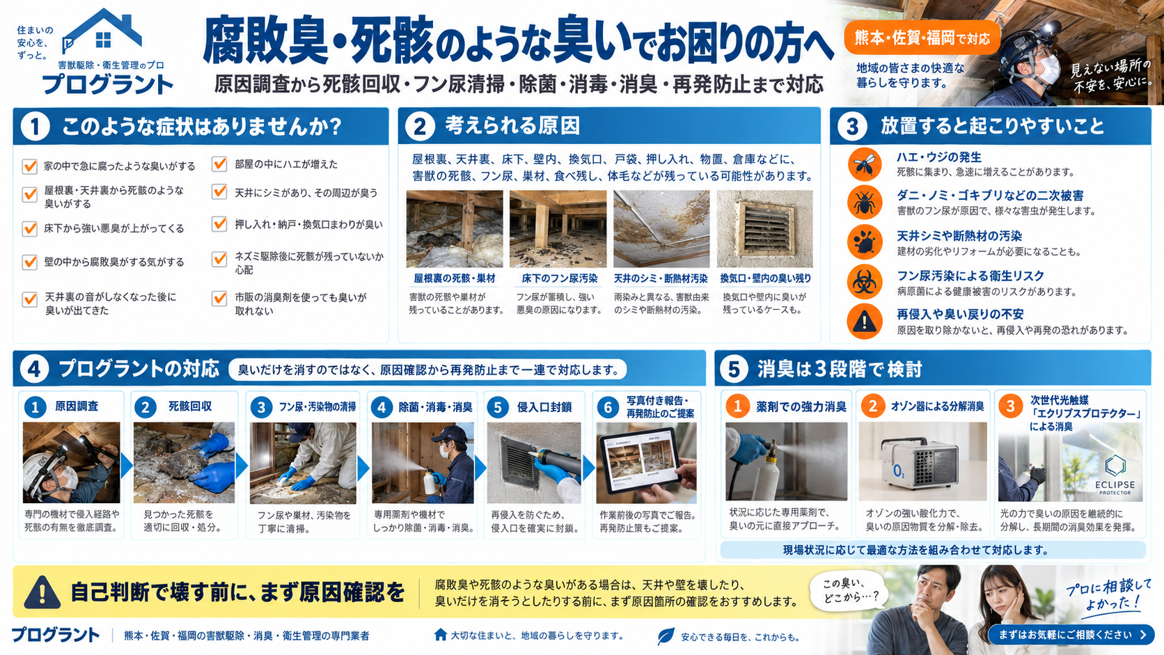 腐敗臭・死骸臭の原因と対処法を解説。屋根裏や床下の死骸・フン尿汚染、二次被害、死骸回収・清掃・除菌・消毒・消臭・侵入口封鎖までの対応を紹介するインフォグラフィック"