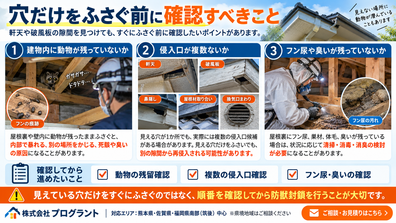 軒天・破風板の穴をふさぐ前の確認ポイントを解説するインフォグラフィック｜動物の残留、複数の侵入口、フン尿や臭いの確認を紹介