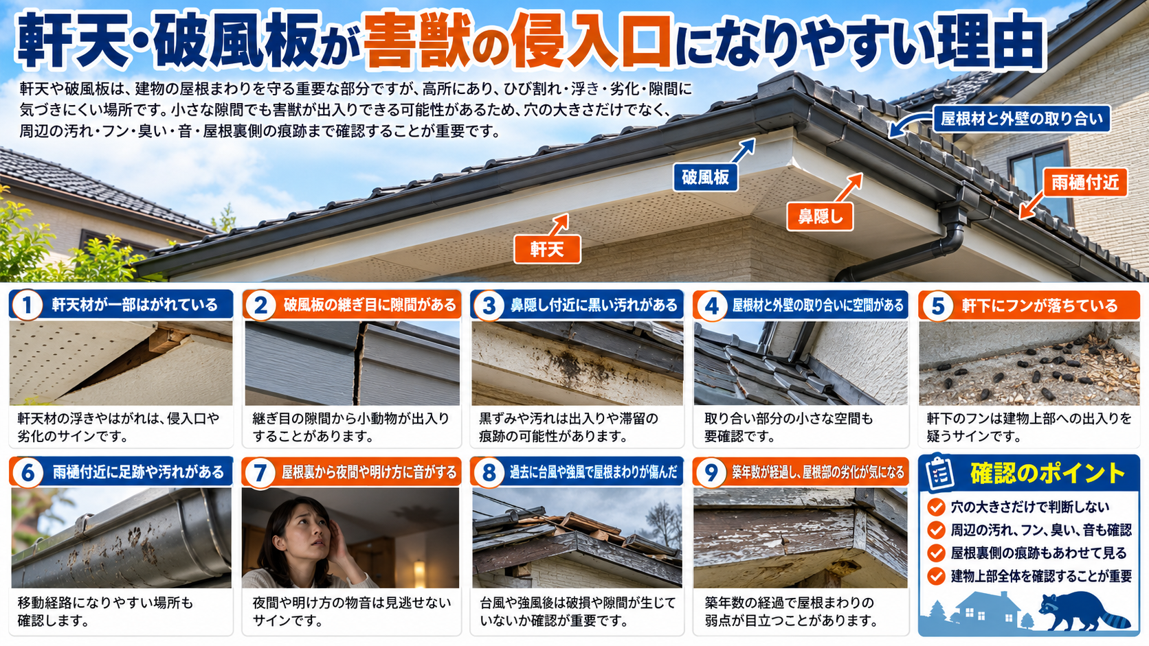 軒天・破風板が害獣の侵入口になりやすい理由を解説するインフォグラフィック。軒天材のはがれ、破風板の継ぎ目の隙間、鼻隠し付近の黒い汚れ、屋根材と外壁の取り合いの空間、軒下のフン、雨樋付近の汚れ、屋根裏の音、台風後の破損、築年数による劣化など、屋根まわりで確認したいサインと確認ポイントを写真付きで紹介。