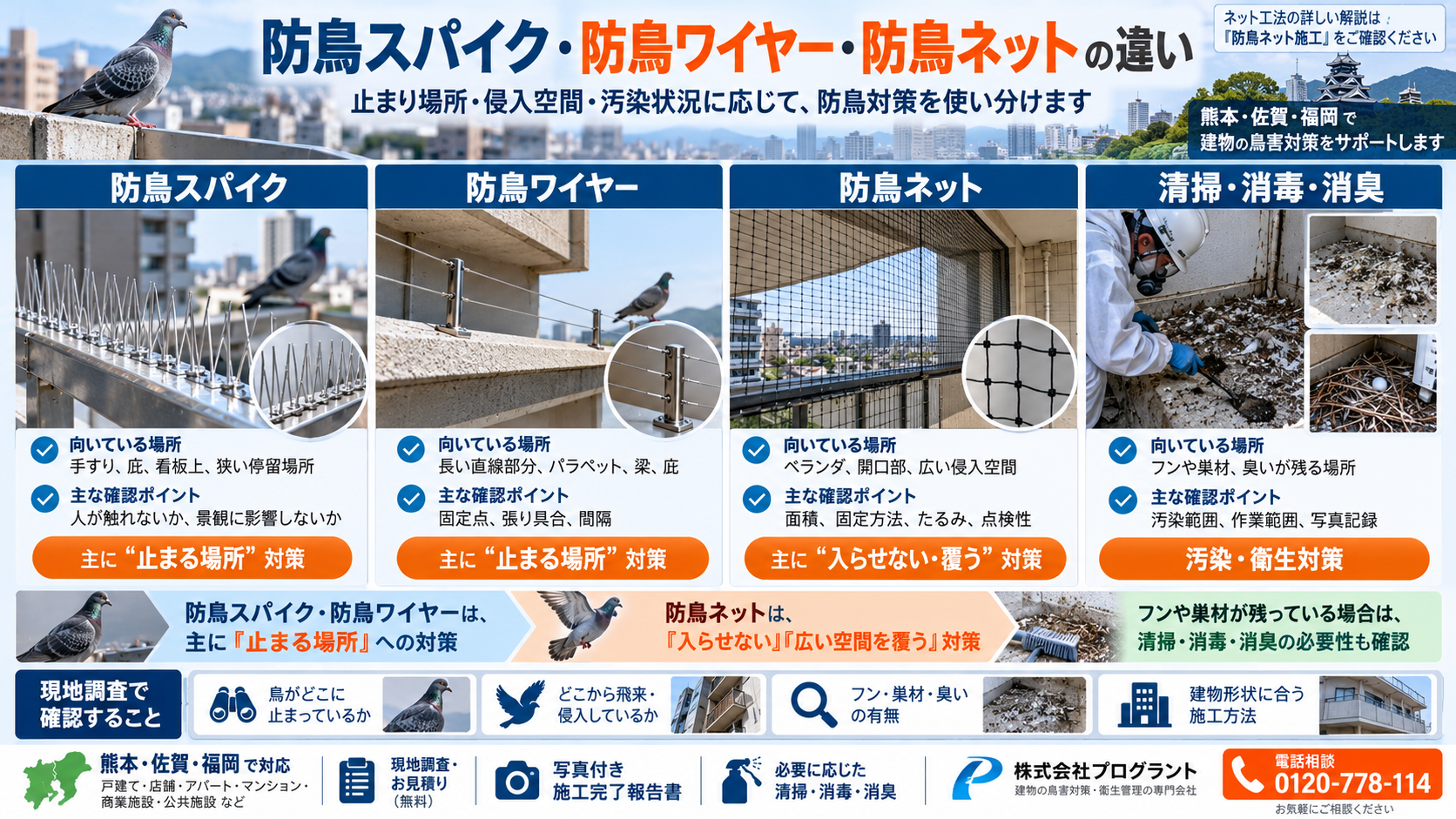 防鳥スパイク・防鳥ワイヤー・防鳥ネットの違いを写真付きで解説。止まる場所への対策、広い侵入空間を覆う対策、清掃・消毒・消臭の必要性と、現地調査で確認するポイントを紹介。