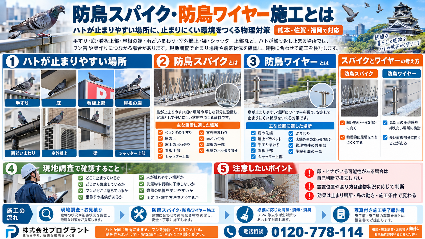 防鳥スパイク・防鳥ワイヤー施工を写真付きで解説。ハトが止まりやすい場所、防鳥スパイクと防鳥ワイヤーの違い、現地調査で確認すること、施工時の注意点を紹介。