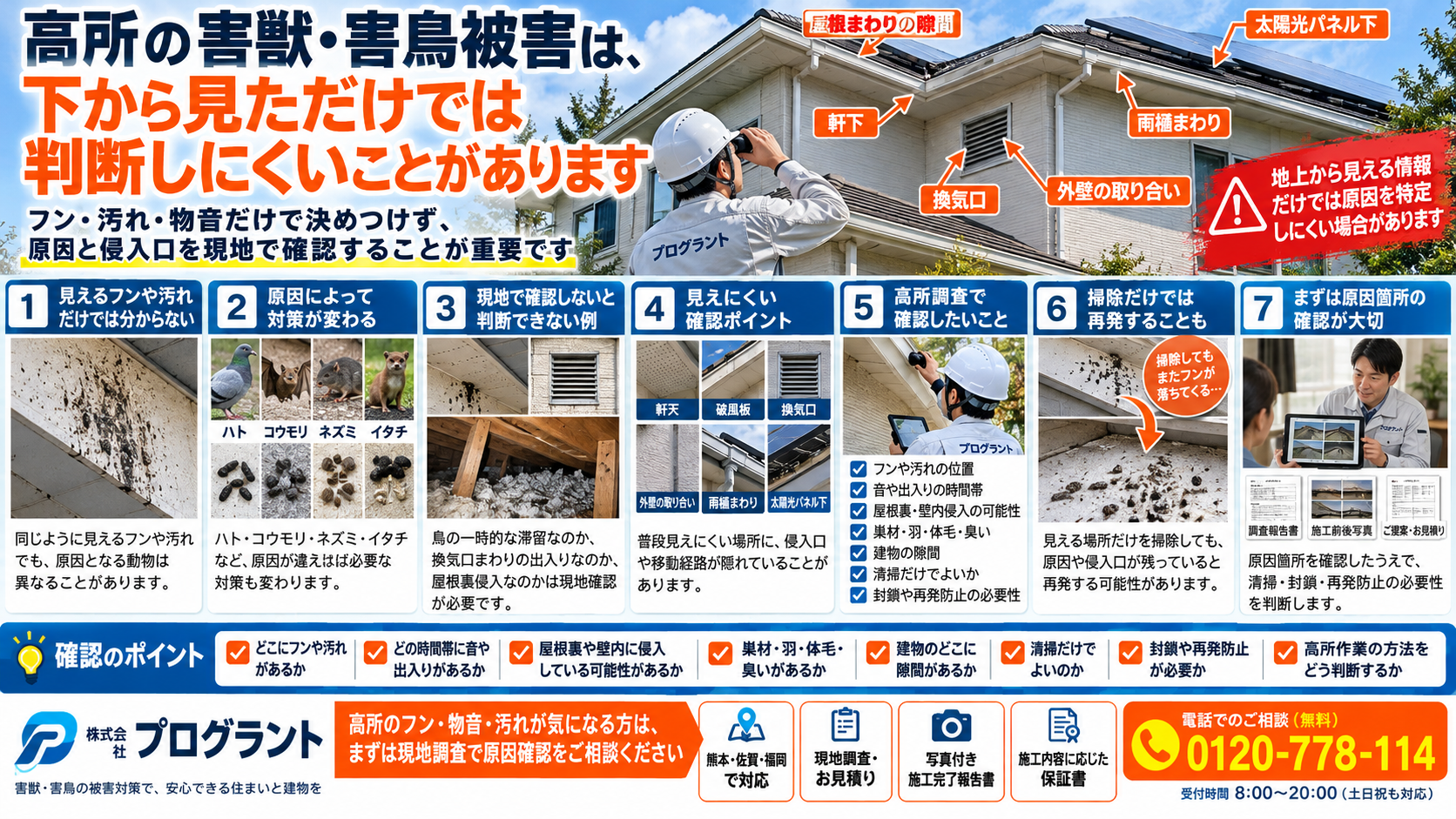 屋根・軒下の高所害獣・害鳥被害を写真付きで解説。ハト・コウモリ・ネズミ・イタチの痕跡、フンや汚れ、侵入口の確認、現地調査と再発防止のポイントを紹介。