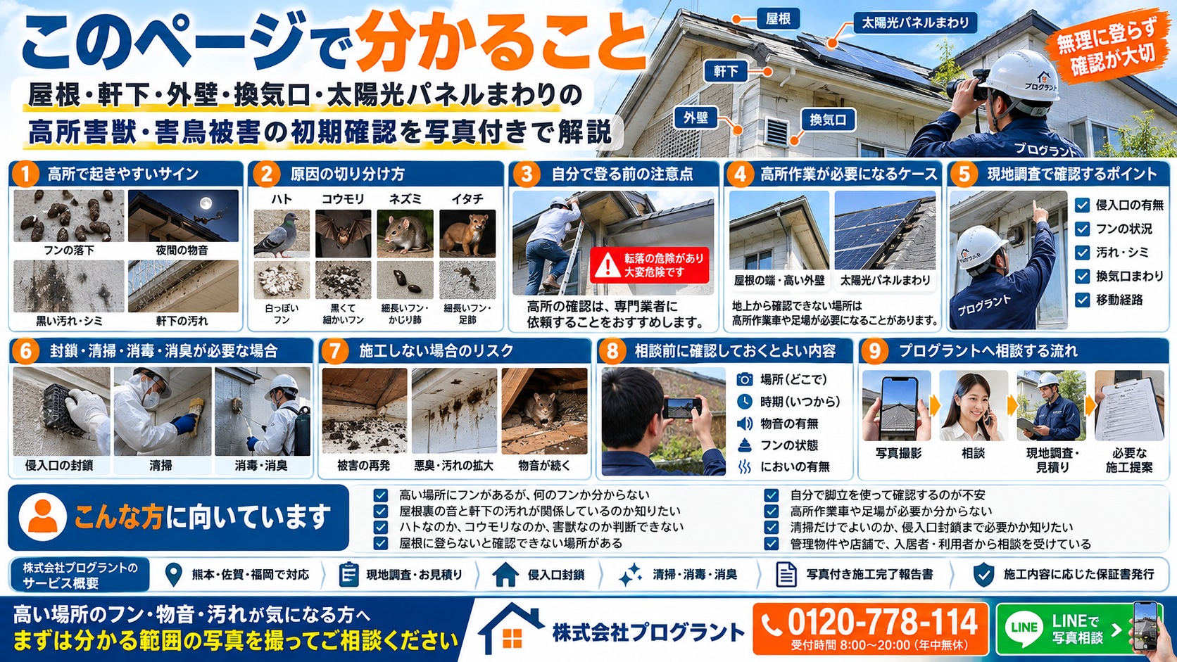 屋根・軒下・外壁・換気口・太陽光パネルまわりの高所害獣・害鳥被害について、このページで分かる内容を写真付きで解説したインフォグラフィック。フン・物音・汚れのサイン、ハト・コウモリ・ネズミ・イタチの切り分け方、高所確認の注意点、現地調査のポイント、封鎖・清掃・消毒・消臭が必要な場合、相談前の確認事項、プログラントへの相談の流れを紹介。