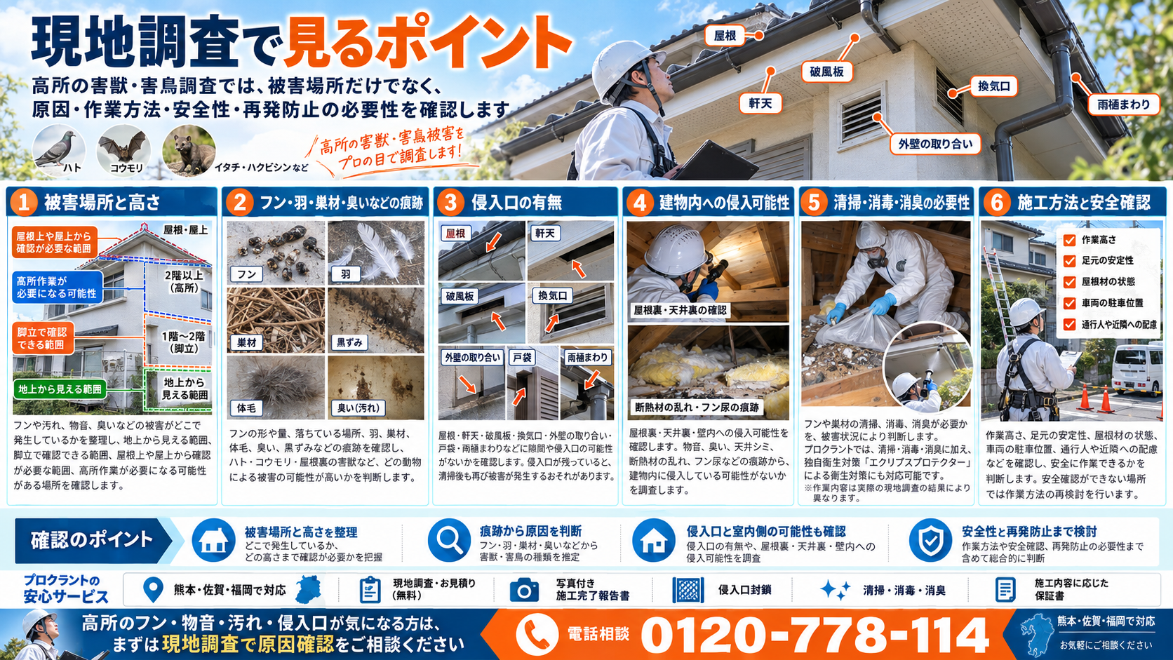 現地調査で見るポイントを6項目で解説したインフォグラフィック。被害場所と高さ、フン・羽・巣材・臭いなどの痕跡、侵入口の有無、建物内への侵入可能性、清掃・消毒・消臭の必要性、施工方法と安全確認を写真付きで紹介。